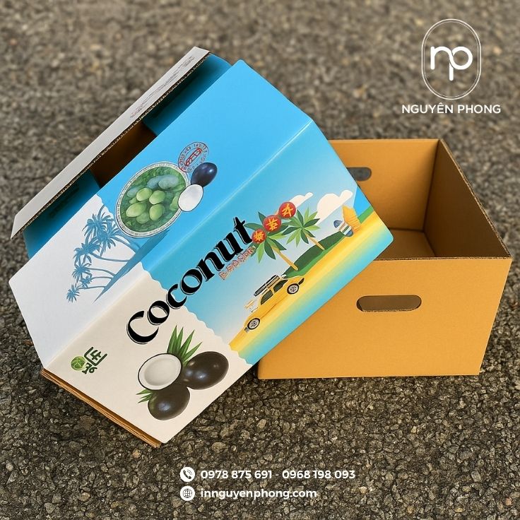 Mẫu thùng carton đựng dừa dạng âm dương có lỗ thông hơi